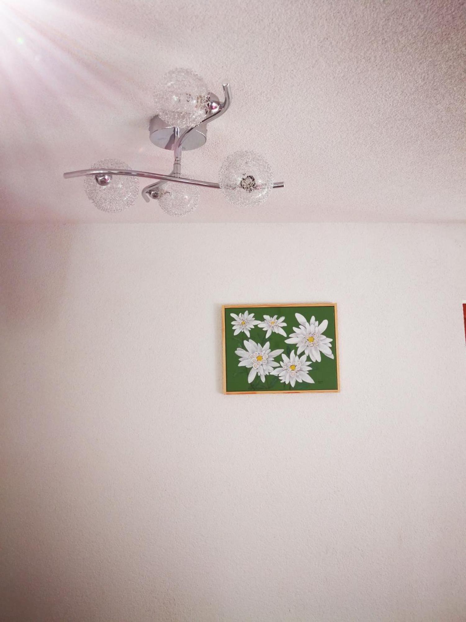 Hotel Ekoturizem Vizencar à Cerklje na Gorenjskem Extérieur photo
